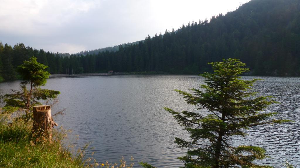 Vila Les Bouquetins Stosswihr Pokoj fotografie