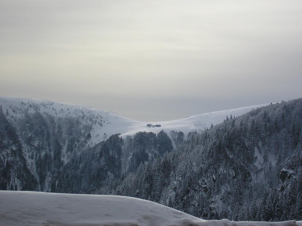 Vila Les Bouquetins Stosswihr Pokoj fotografie