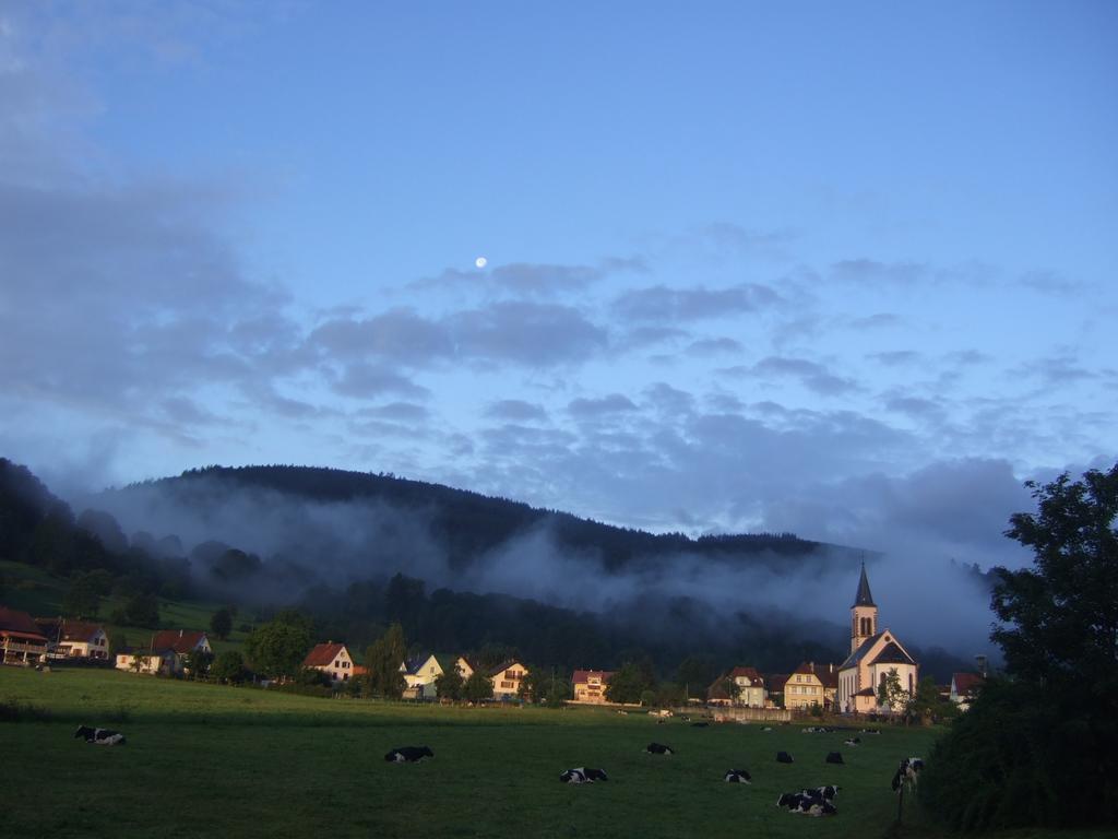 Vila Les Bouquetins Stosswihr Pokoj fotografie